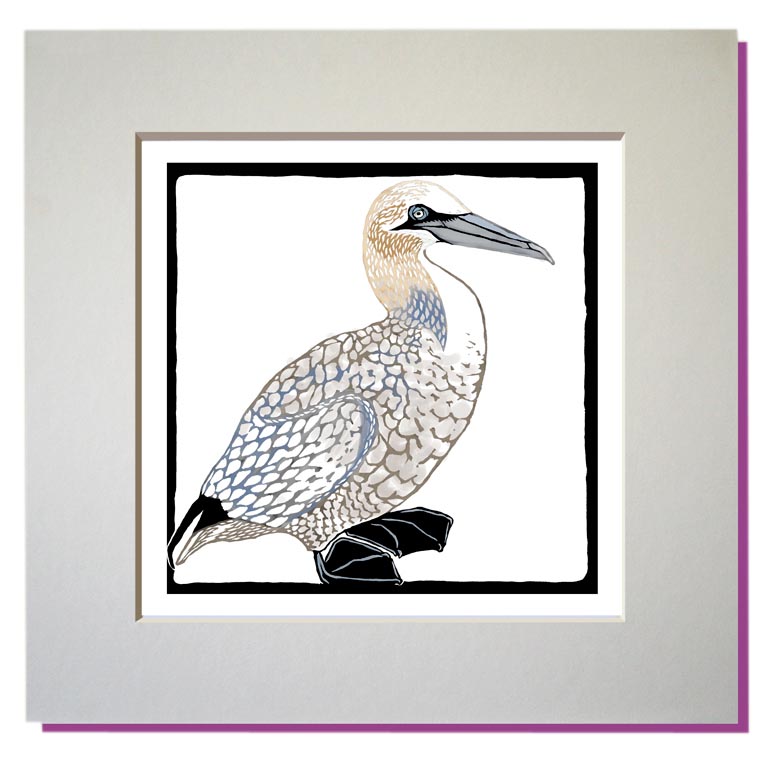 small gannet print